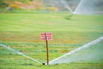 A sign marks a recentl sodded area at Fox Run Golf Coures Thursday.© 2011 Gallup Independent / Cable Hoover 